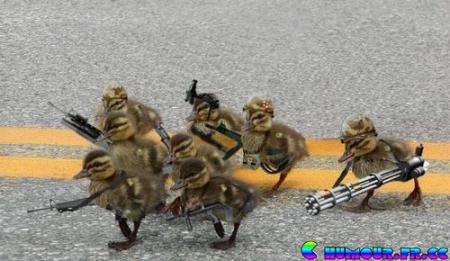 lol   bin merde alors!!!   lol